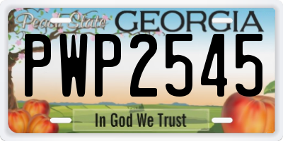 GA license plate PWP2545