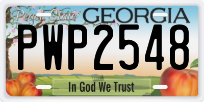 GA license plate PWP2548