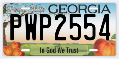 GA license plate PWP2554