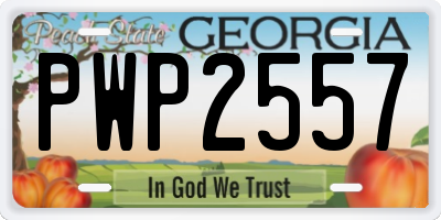GA license plate PWP2557