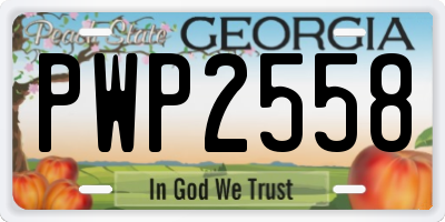 GA license plate PWP2558