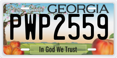 GA license plate PWP2559