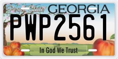 GA license plate PWP2561