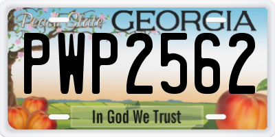 GA license plate PWP2562