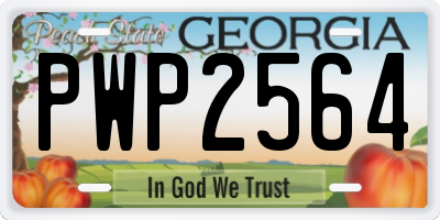 GA license plate PWP2564