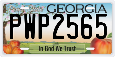 GA license plate PWP2565