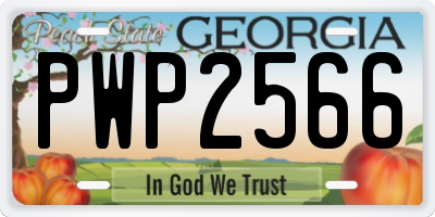 GA license plate PWP2566