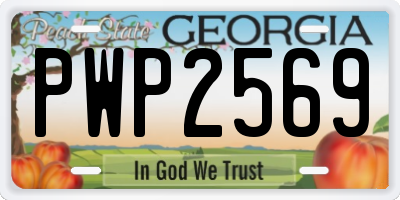 GA license plate PWP2569