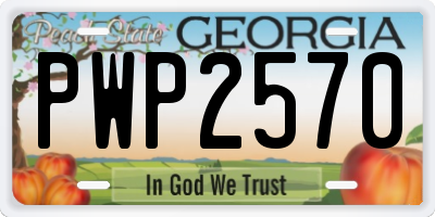 GA license plate PWP2570