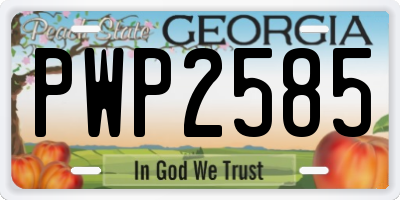 GA license plate PWP2585