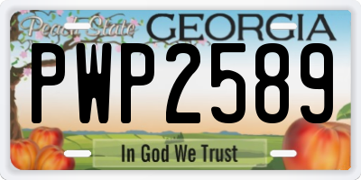 GA license plate PWP2589