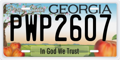 GA license plate PWP2607