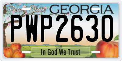 GA license plate PWP2630