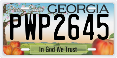 GA license plate PWP2645