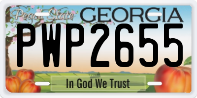 GA license plate PWP2655