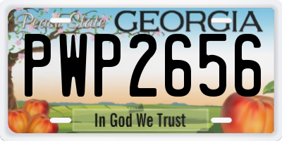 GA license plate PWP2656