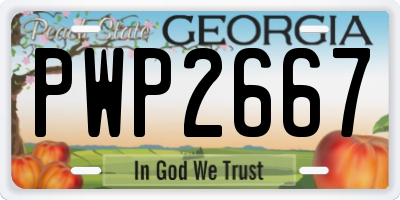 GA license plate PWP2667