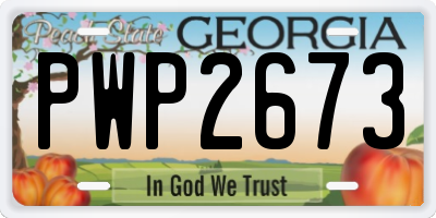 GA license plate PWP2673