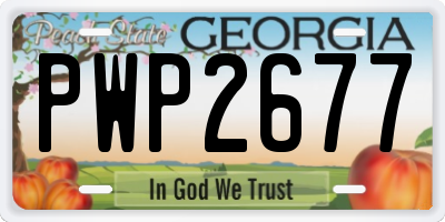 GA license plate PWP2677