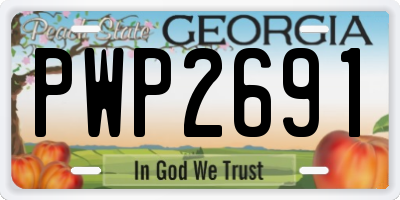 GA license plate PWP2691
