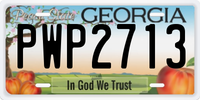 GA license plate PWP2713