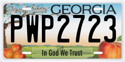 GA license plate PWP2723