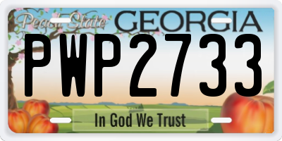 GA license plate PWP2733