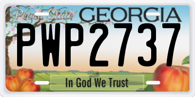 GA license plate PWP2737