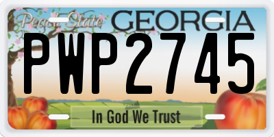 GA license plate PWP2745