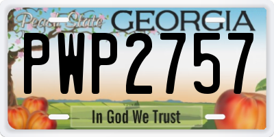 GA license plate PWP2757