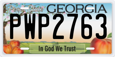 GA license plate PWP2763