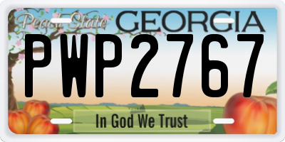 GA license plate PWP2767