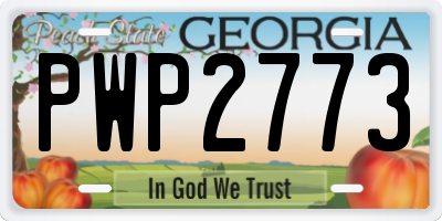 GA license plate PWP2773