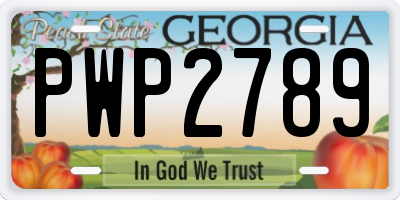 GA license plate PWP2789