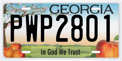 GA license plate PWP2801