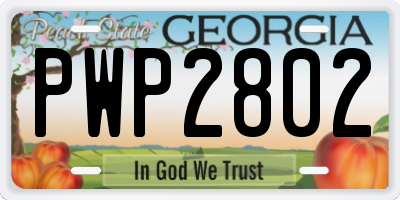 GA license plate PWP2802
