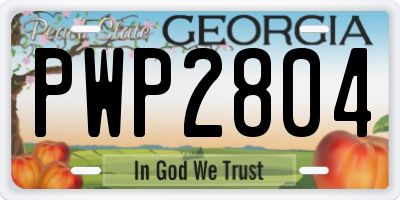 GA license plate PWP2804