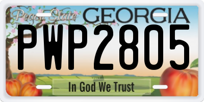 GA license plate PWP2805