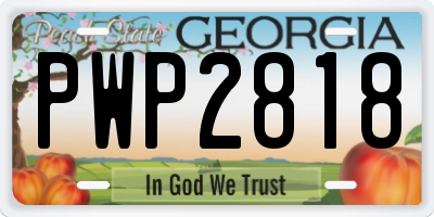 GA license plate PWP2818