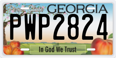 GA license plate PWP2824