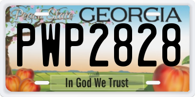 GA license plate PWP2828