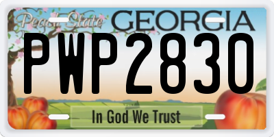 GA license plate PWP2830