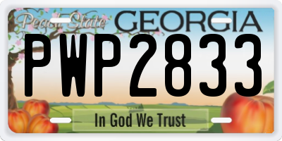 GA license plate PWP2833