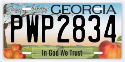 GA license plate PWP2834