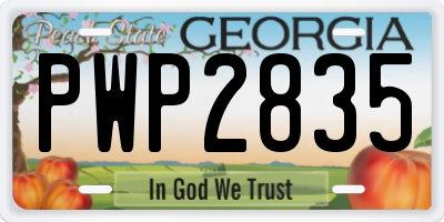 GA license plate PWP2835