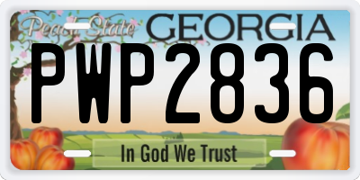 GA license plate PWP2836