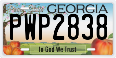 GA license plate PWP2838
