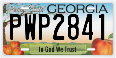 GA license plate PWP2841