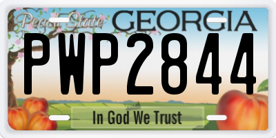 GA license plate PWP2844