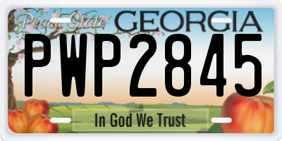 GA license plate PWP2845